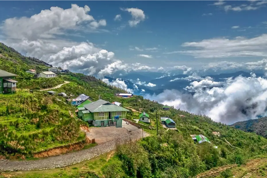 भारत की 5 सबसे खूबसूरत फूलों की घाटियां, जिनकी सुंदरता देख मंत्रमुग्ध हो जाएंगे आप 4 सिक्किम की युमथांग वैली में रंग-बिरंगे फूलों और हरी वादियों का खूबसूरत दृश्य